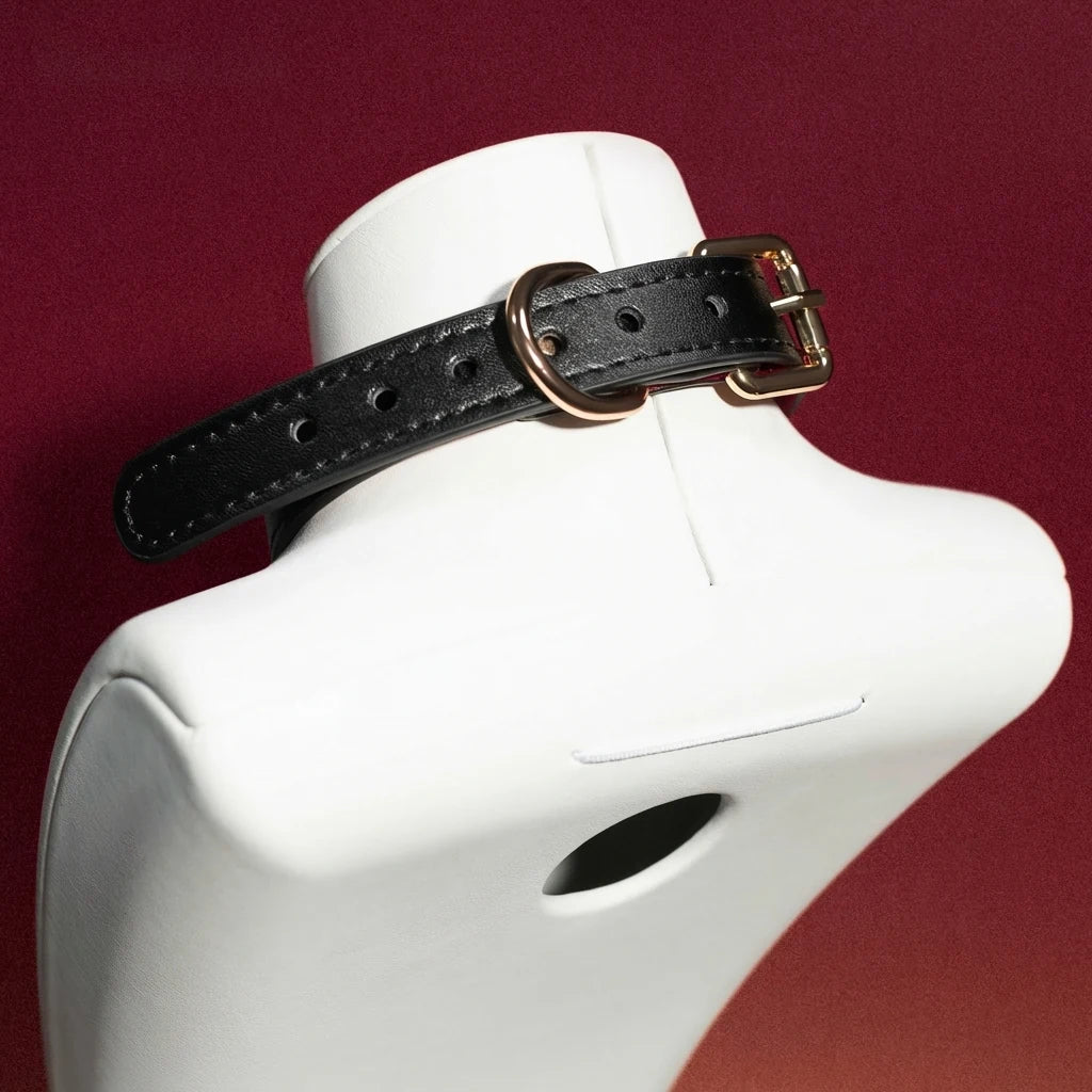 Black Leather Bell Choker Collar with Gold Chain Leash