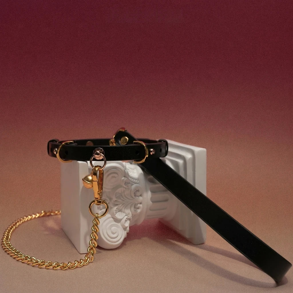 Black Leather Ring Choker Collar and Chain Leash Set