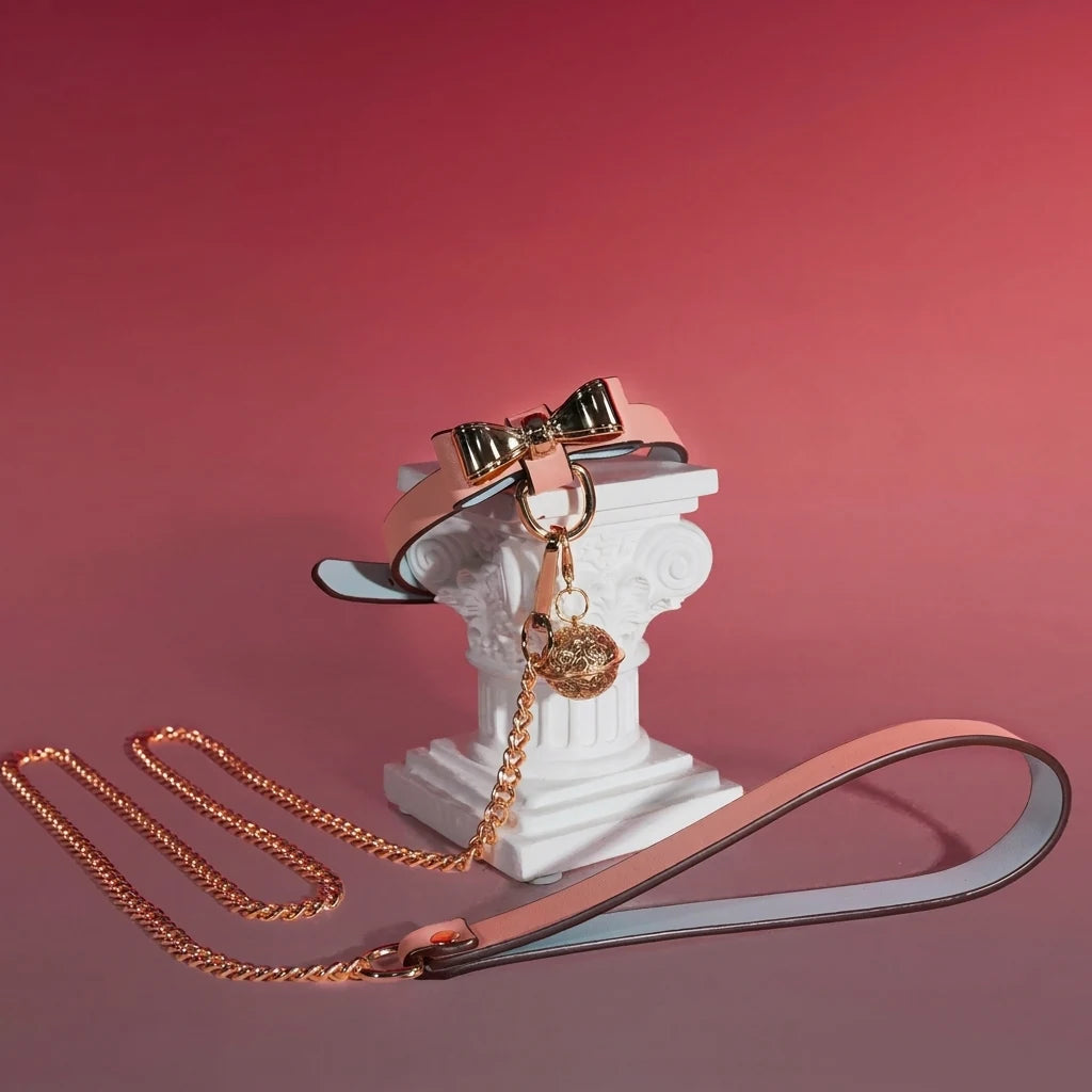 Pink Bow Charm Choker Collar with Leash Chain Set