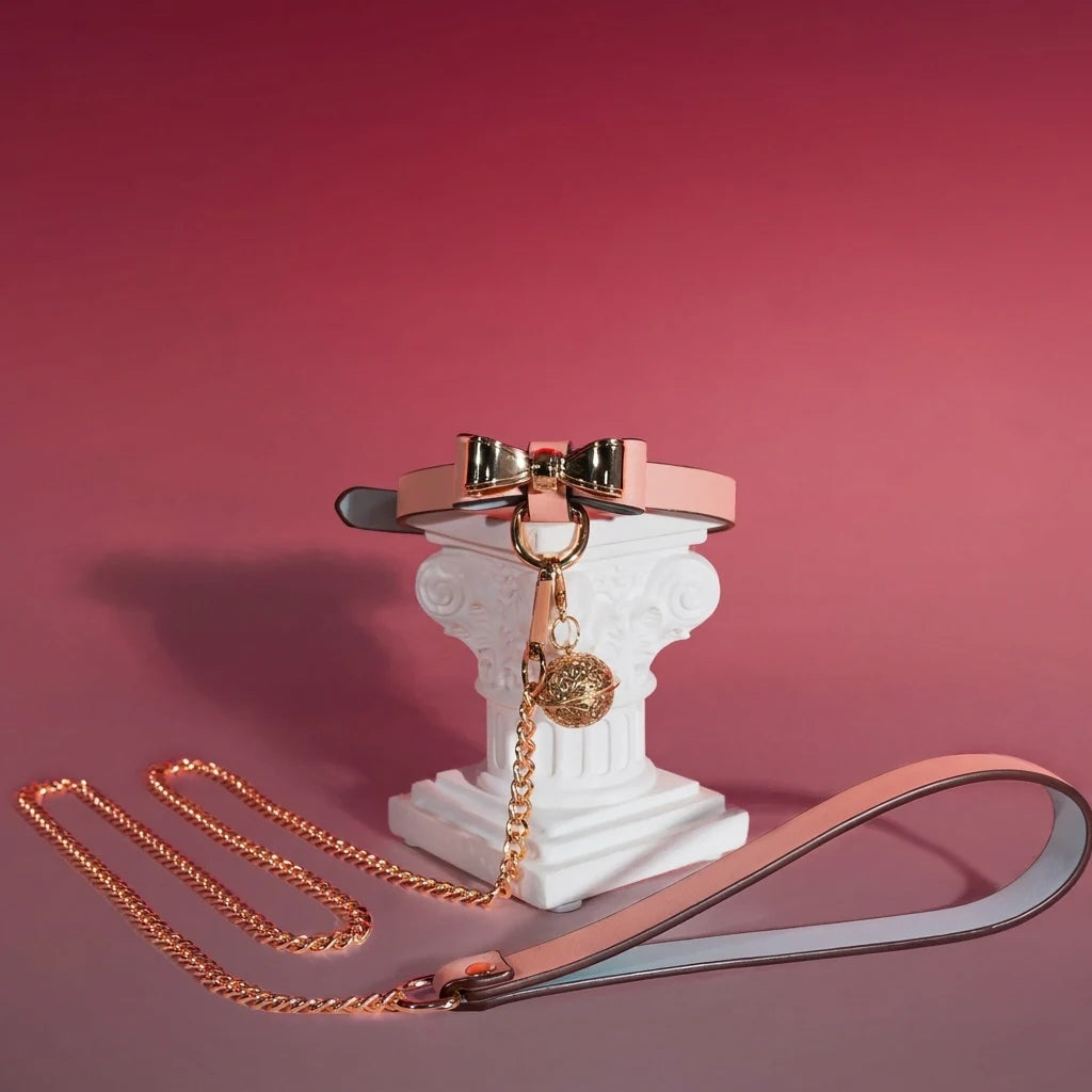 Pink Bow Charm Choker Collar with Leash Chain Set