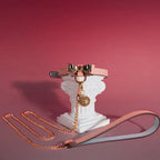 Pink Bow Charm Choker Collar with Leash Chain Set