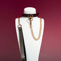 Black Croc T-Bar Choker Collar and Gold Chain Leash Set - Variant Image 1