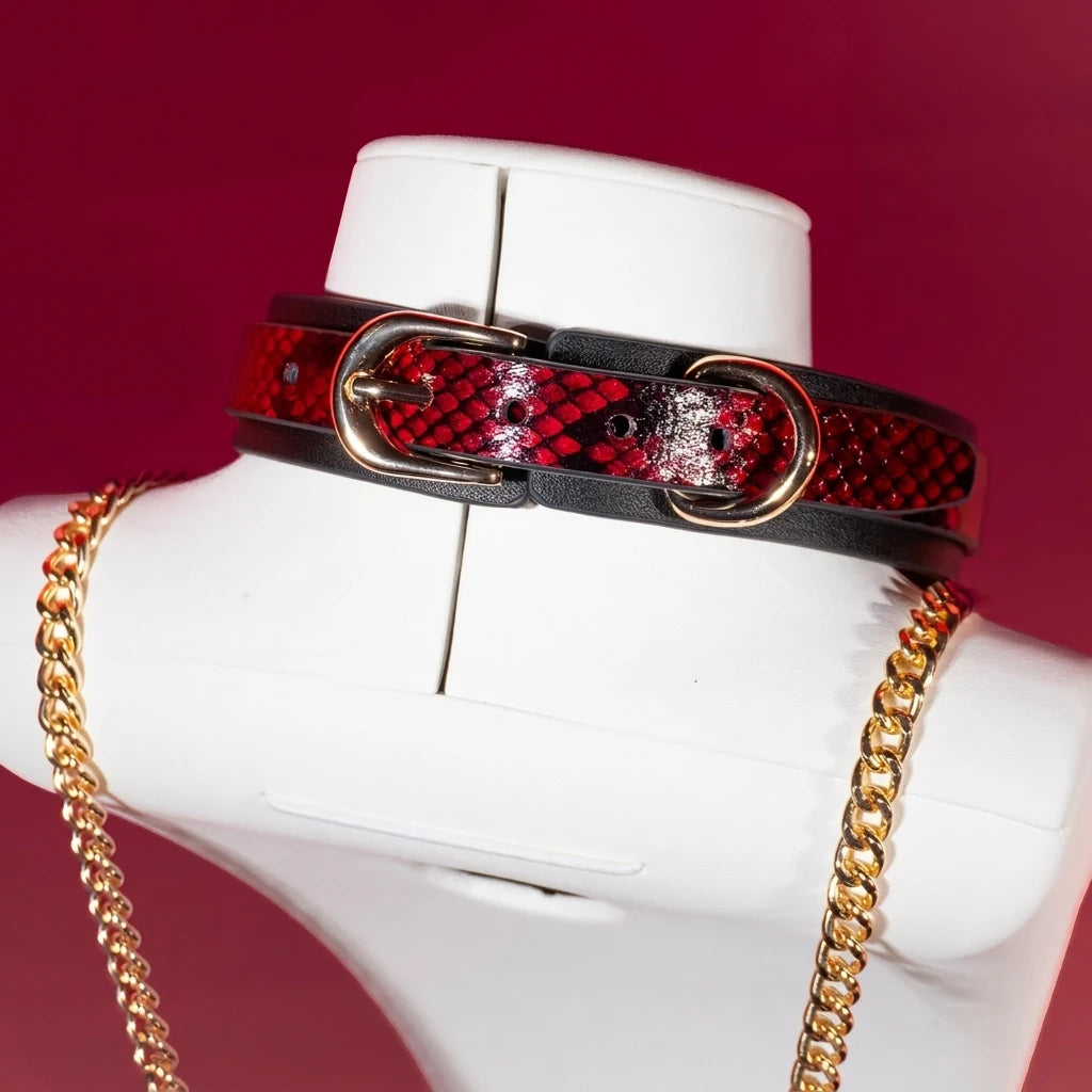 Red Snakeskin Heart Charm Leather Choker Collar Set
